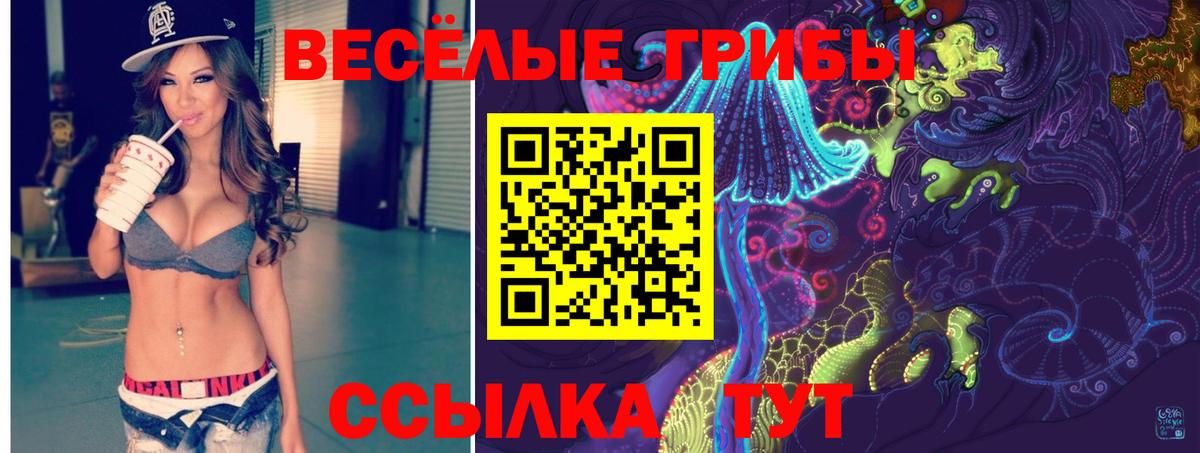 Галлюциногенные грибы прущие грибы  Вход с VPN  Череповец 