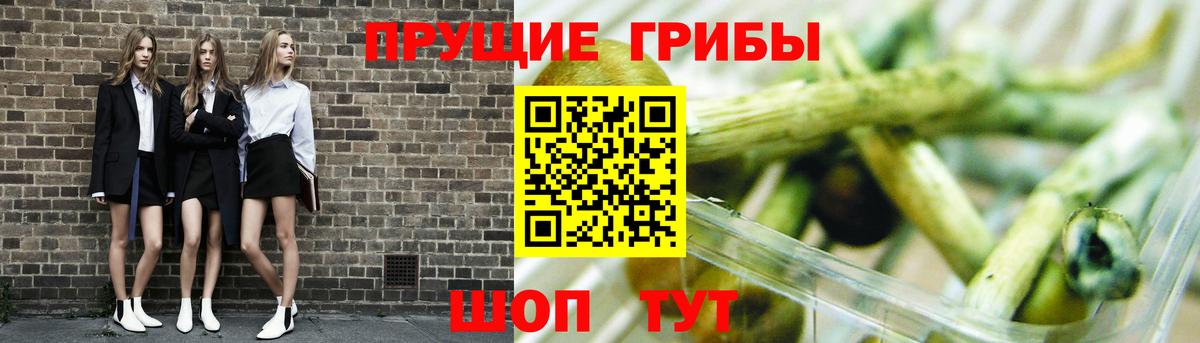 Псилоцибиновые грибы прущие грибы Череповец